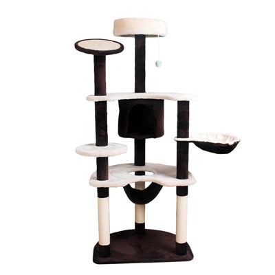 Najbardziej mocniejsze drzewa kotów